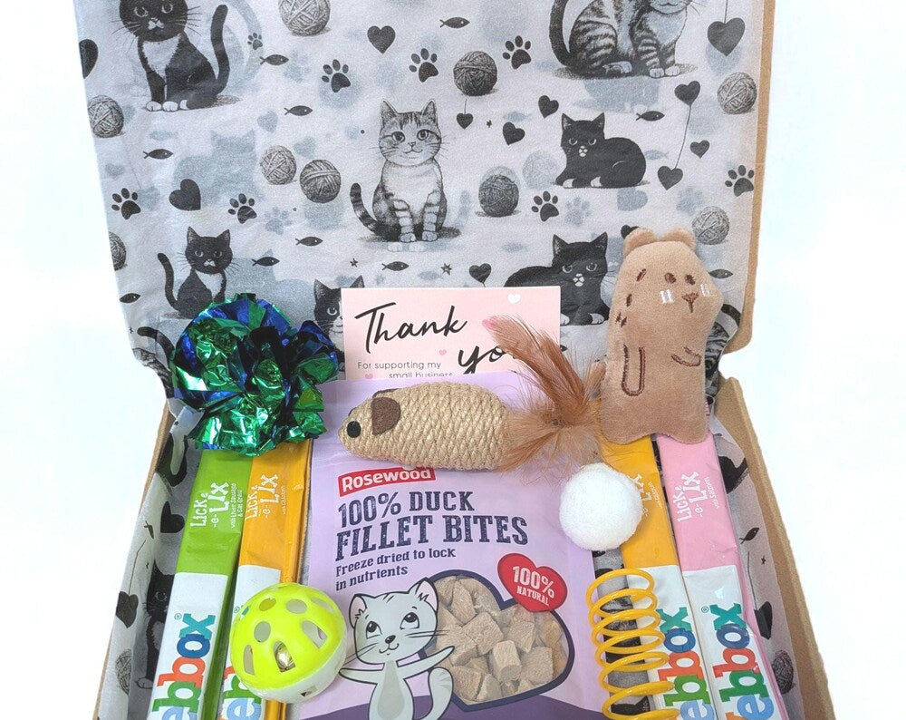 Open personalized cat treat box with grain-free duck fillet bites, colorful catnip sticks, plush toy, balls, and thank you.