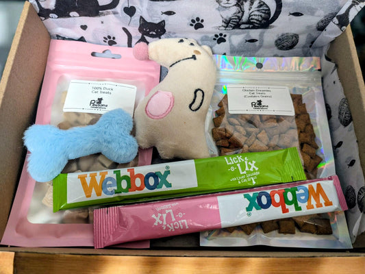 Small cat treat box with blue bone toy, beige mouse toy, pink treat pouch, and two Webbox cat treat sticks inside a.