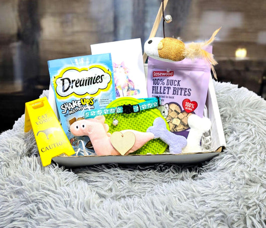 Luxury cat gift box with grey plush bed, toys, Dreamies treats, catnip, and fish-shaped toys.