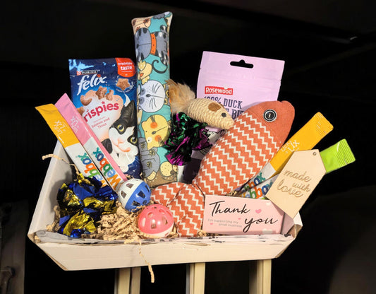 Large cat treat box with colorful toys, catnip pillow, snacks, and a thank you card.
