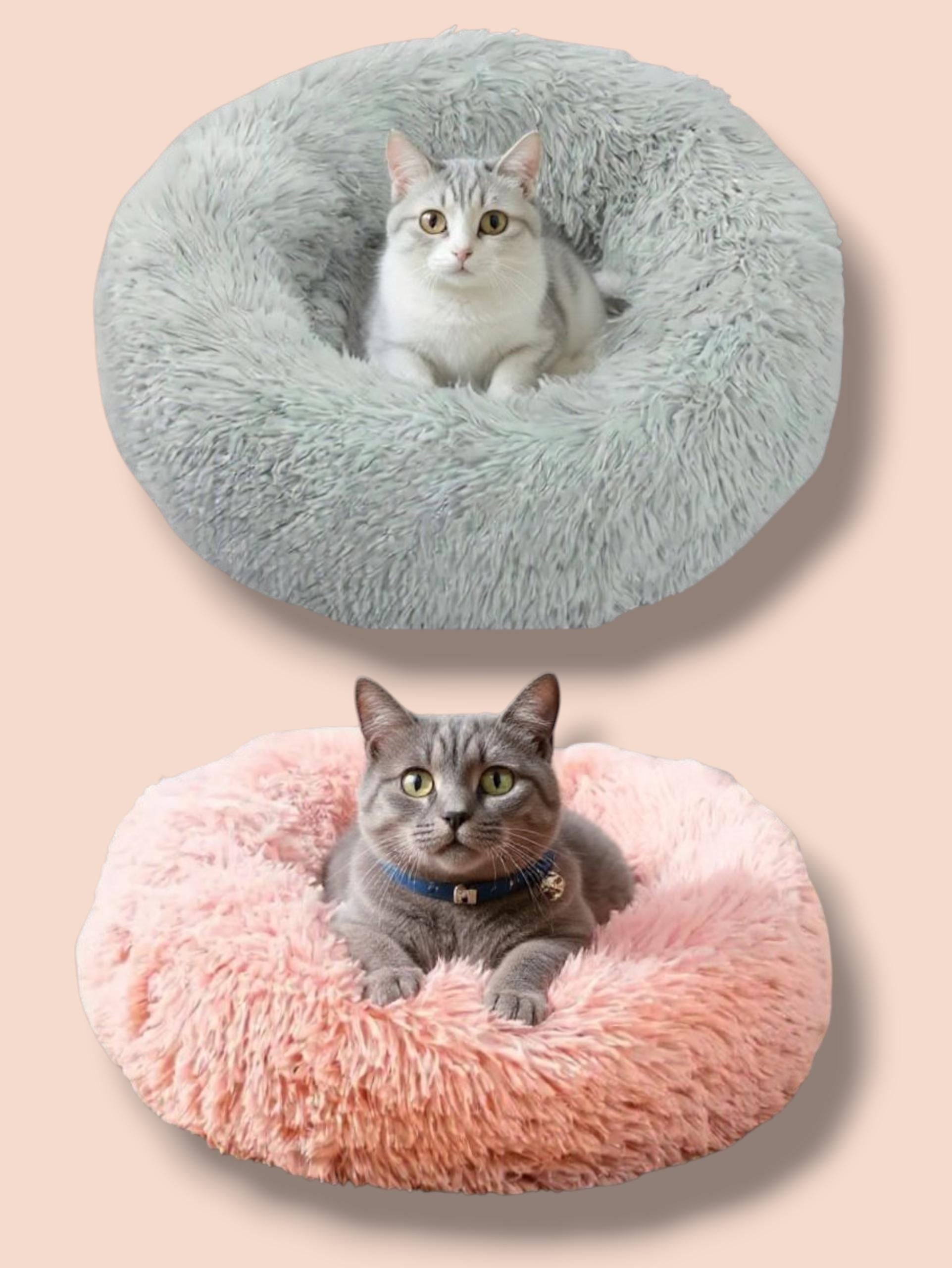 Round fluffy grey cat bed with white and grey tabby cat, round fluffy pink cat bed with grey tabby cat wearing a collar.