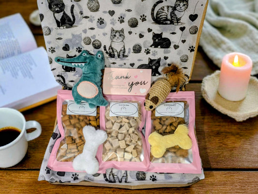 Open cat treat box with three sections holding white, beige, and yellow bone-shaped treats, plus two catnip toys shaped like .