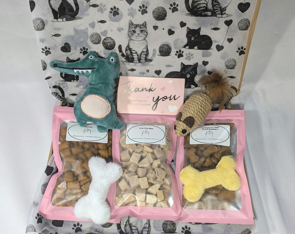 Handmade selection of treats with cat toys
